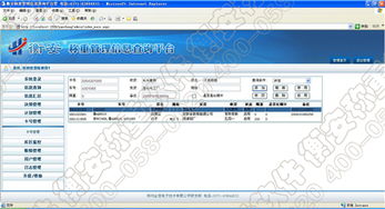 无人值守称重系统及其人工智能应用